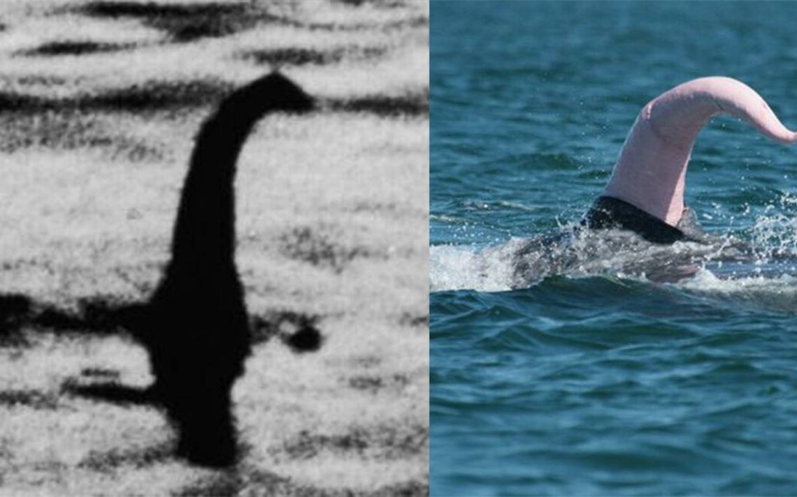 El Monstruo del Lago Ness podría ser un pene de ballena aquí la explicación El Sol de